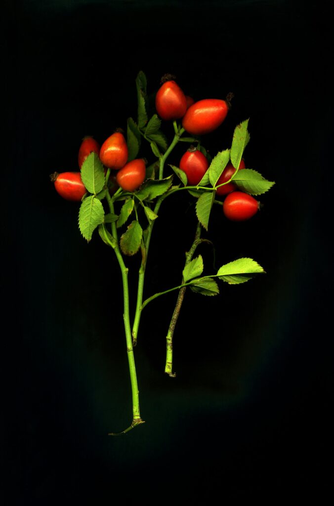 Menyusun Hidup melalui Rutinitas